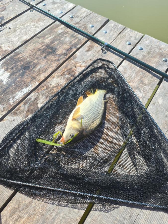 Dworek Ogrodniki, Caloroczny Dom Na Wylacznosc, Basen, Sauna, Las, Staw Rybny, Altana Grillowa, Ognisko, Pianino, Kominek, Piec Chlebowy, Duza Ogrodzona Posesja Tuczna Dış mekan fotoğraf