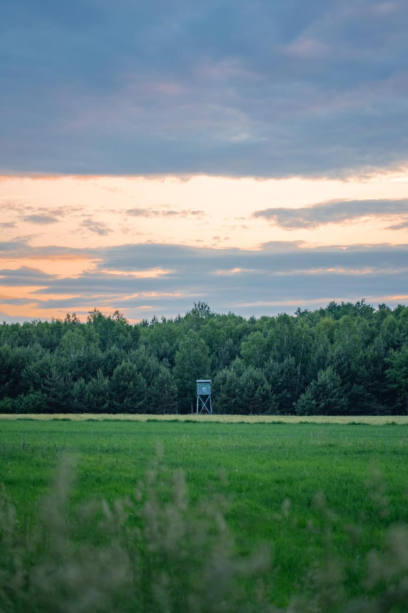 Dworek Ogrodniki, Caloroczny Dom Na Wylacznosc, Basen, Sauna, Las, Staw Rybny, Altana Grillowa, Ognisko, Pianino, Kominek, Piec Chlebowy, Duza Ogrodzona Posesja Tuczna Dış mekan fotoğraf